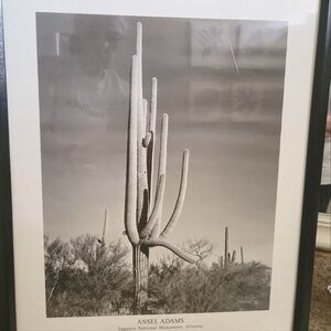 Ansel Adam's cactus poster in frame